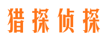 道真市侦探公司